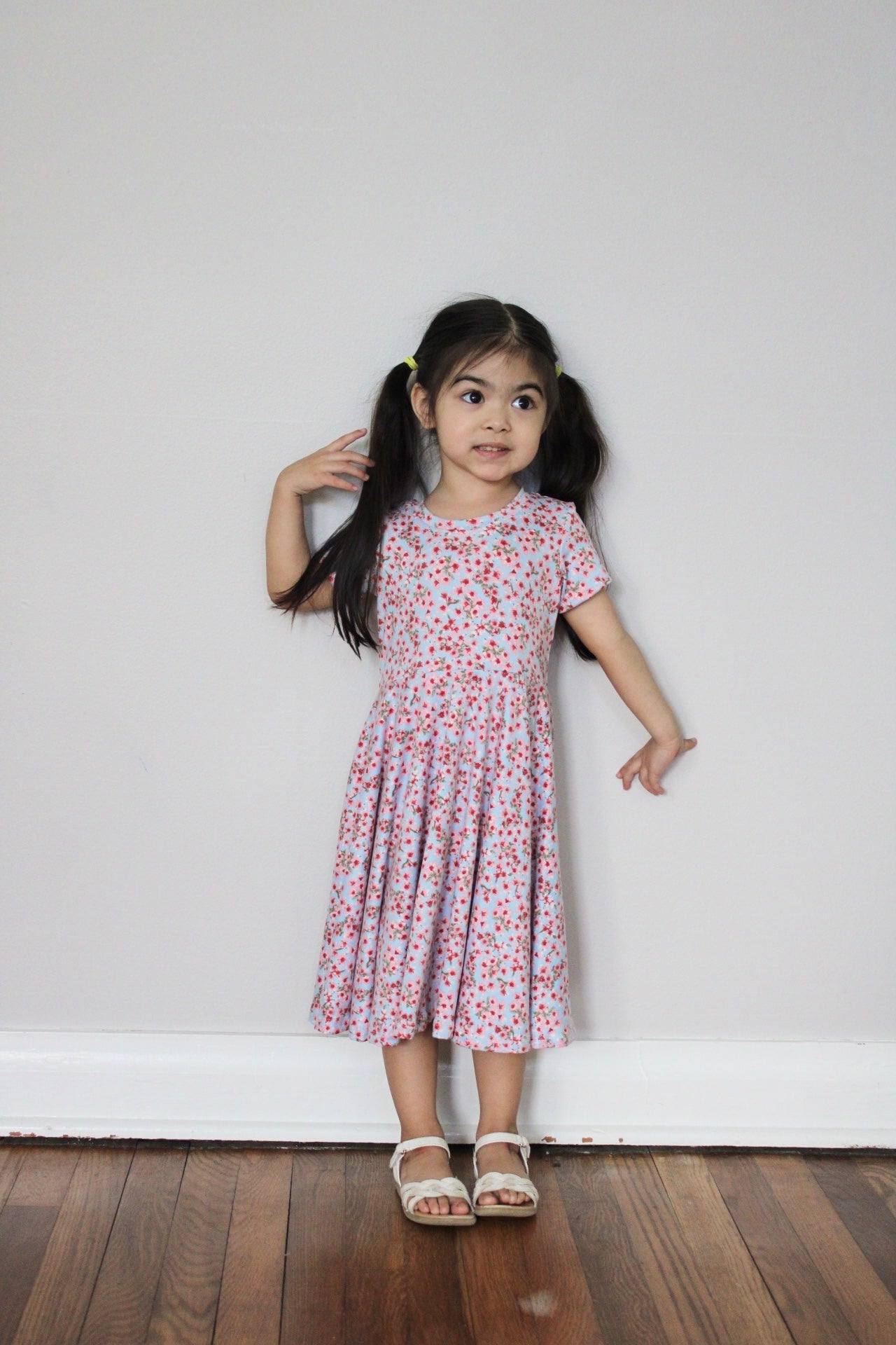 Blossom Girls Dress (2T, 4T, 6)